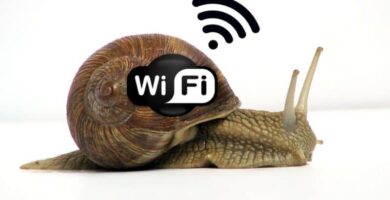 caracol WiFi