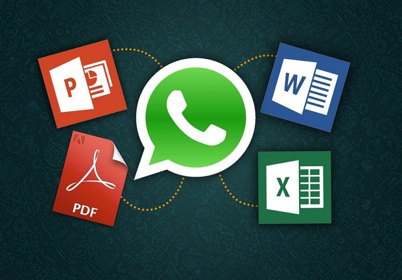 envio documentos whatsapp