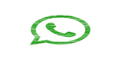 logo whatsapp blanco 12280