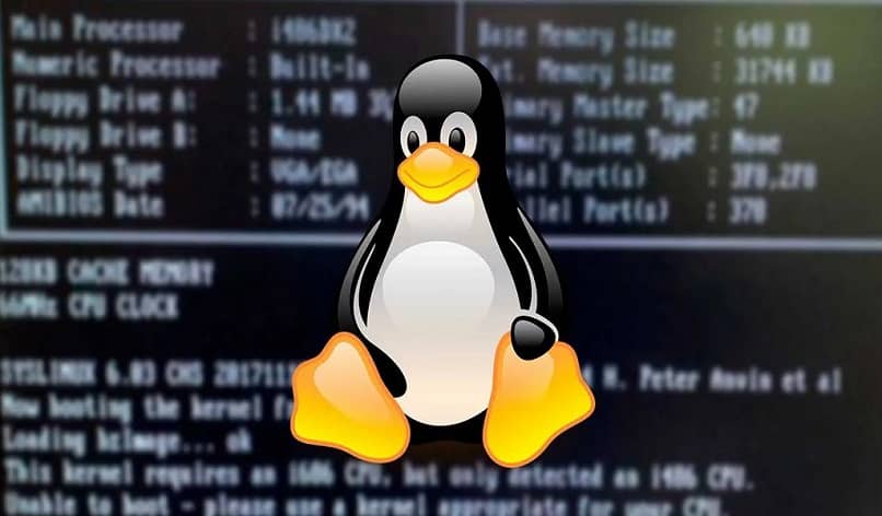 pinguino linux numeros fondo