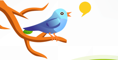 twitter bird feature 1000x450