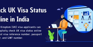 uk visa status 1