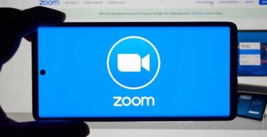 zoom logo telefono 9516