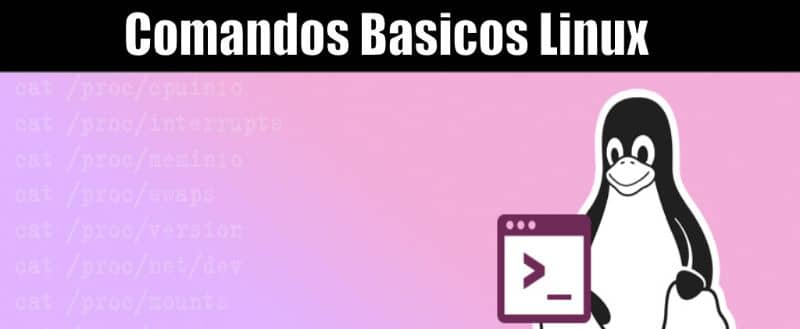 Comandos basicos