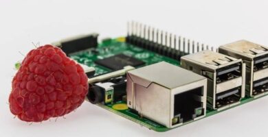 Raspberry pi berry pi 1000x450