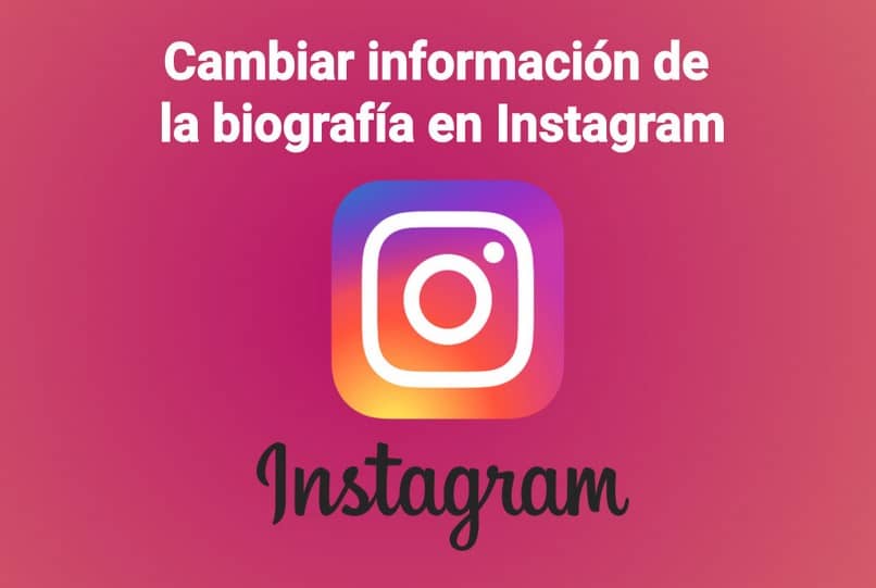 biografia instagram