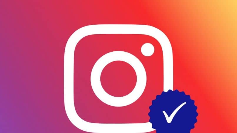 logo instagram check