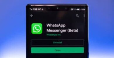 movil whatsapp beta