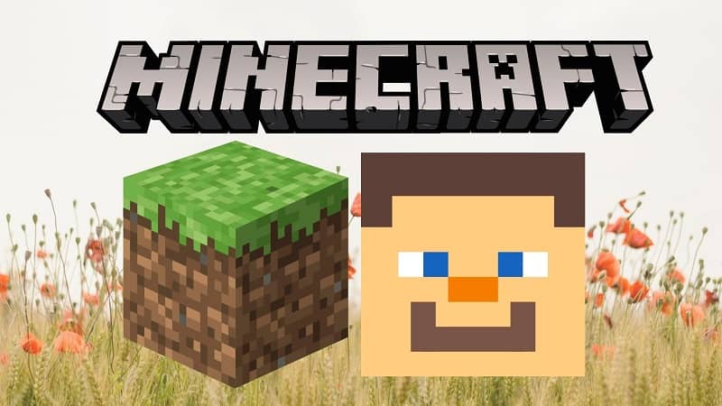 Minecraft-kuvakkeen hahmon kasvot 