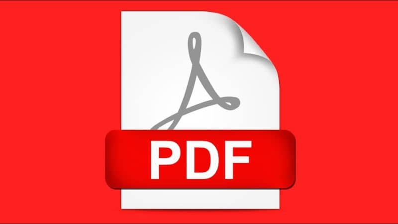 Logo PDF