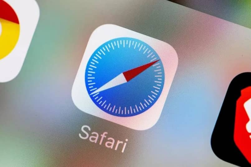 Safari 1