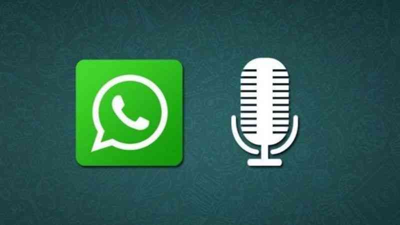 WhatsApp Audio 1