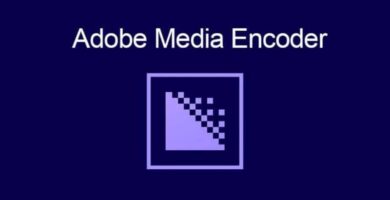 adobe media