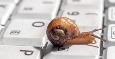 caracol en teclado