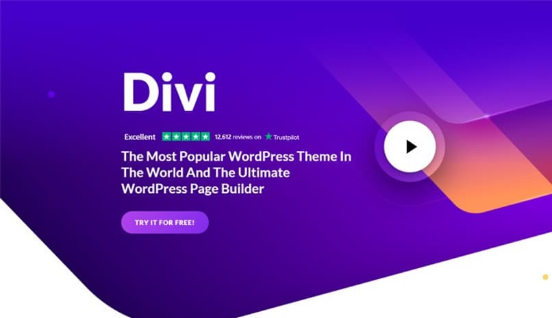 divi wordpress 13483