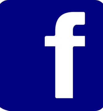 facebook logo insignia 10870