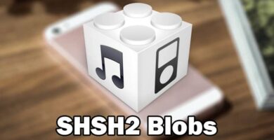 figura shsh2 blobs