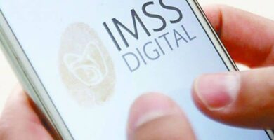 imss digital en telefono movil