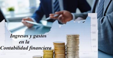 ingresos gastos contabilidad 10610