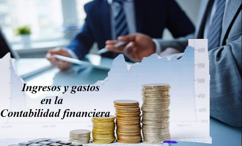 ingresos gastos contabilidad 10610