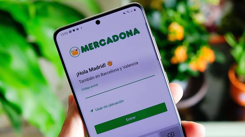 mercadona app compras online 11043