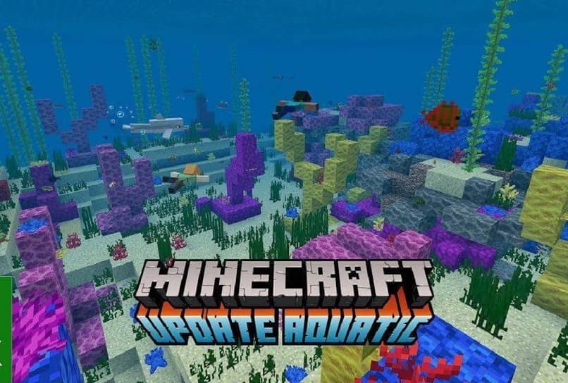 CORALES MINECRAFT