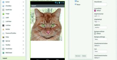 APP Inventor gato