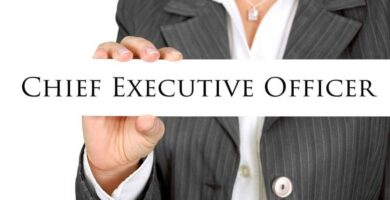 ceo chief executive office 9936