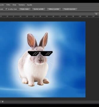 conejo photoshop