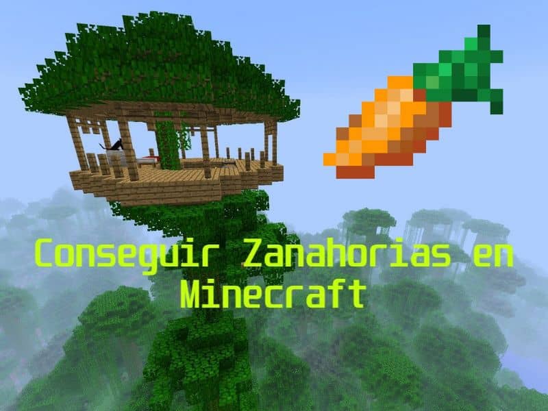 conseguir zanahorias minecraft