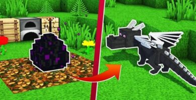 domesticar dragon minecraft