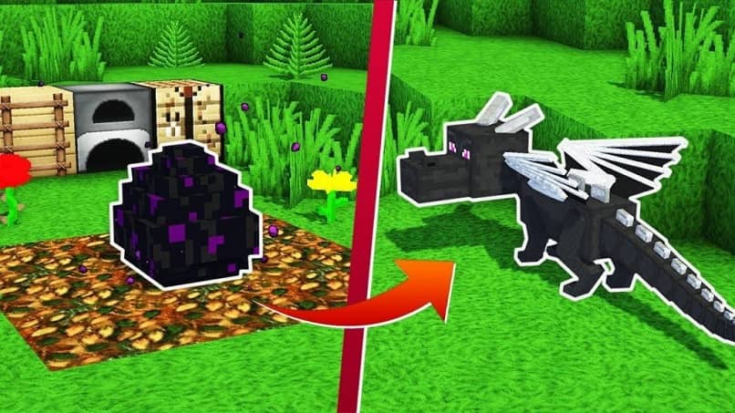 domesticar dragon minecraft