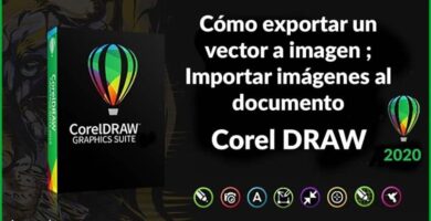 exportar vector imagen