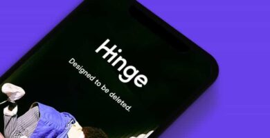 hinge 14816